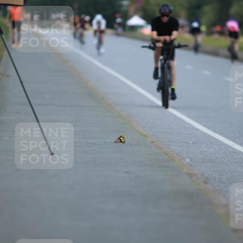 21.06.2025 - 27. Vierlanden-Triathlon H.Heesch http://msf.ph/oto/7990853 15.06.2025 11:53:43 Radfahren 893 meine-sportfotos.de