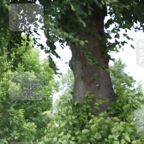 15.06.2025 - 7 Türme Triathlon Yannick Fuchs http://msf.ph/oto/8017714 15.06.2025 13:31:02 Radfahren 257, 512, 621, 636 meine-sportfotos.de