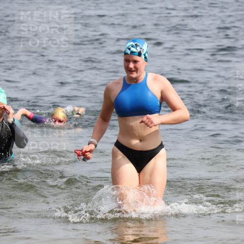 15.06.2025 - 27. Vierlanden-Triathlon Lena Gebhardt http://msf.ph/oto/8018396 15.06.2025 10:16:40 Schwimmen 491, 501, 516, 549, 604, 633 meine-sportfotos.de