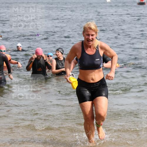 15.06.2025 - 27. Vierlanden-Triathlon Lena Gebhardt http://msf.ph/oto/8019528 15.06.2025 10:17:18 Schwimmen 510, 529, 556, 575, 581, 582, 584, 594 meine-sportfotos.de