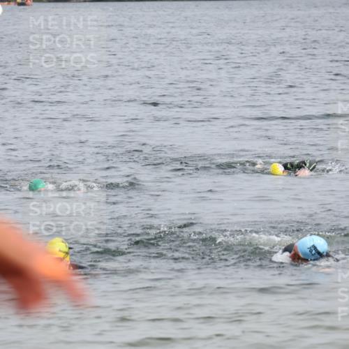 15.06.2025 - 27. Vierlanden-Triathlon Lena Gebhardt http://msf.ph/oto/8026909 15.06.2025 10:59:12 Schwimmen 706 meine-sportfotos.de