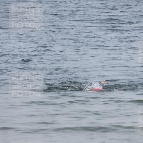 15.06.2025 - 27. Vierlanden-Triathlon Lena Gebhardt http://msf.ph/oto/8035766 15.06.2025 11:24:31 Schwimmen  meine-sportfotos.de