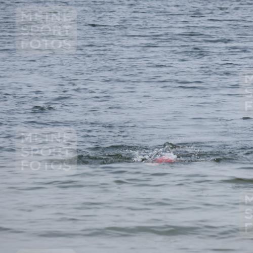15.06.2025 - 27. Vierlanden-Triathlon Lena Gebhardt http://msf.ph/oto/8035767 15.06.2025 11:24:31 Schwimmen  meine-sportfotos.de