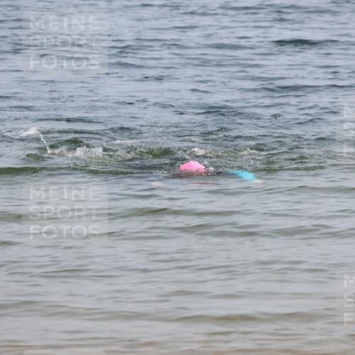 15.06.2025 - 27. Vierlanden-Triathlon Lena Gebhardt http://msf.ph/oto/8036044 15.06.2025 11:29:33 Schwimmen  meine-sportfotos.de