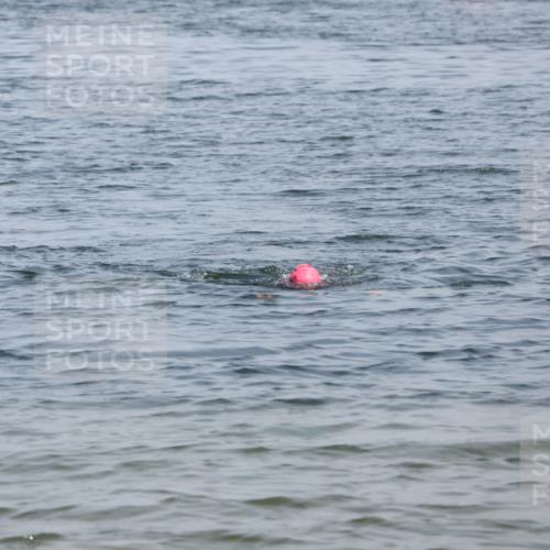 15.06.2025 - 27. Vierlanden-Triathlon Lena Gebhardt http://msf.ph/oto/8036222 15.06.2025 11:34:00 Schwimmen  meine-sportfotos.de