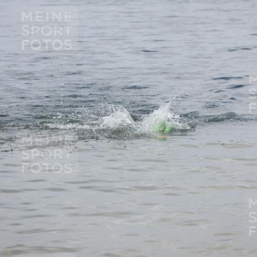 21.06.2025 - 27. Vierlanden-Triathlon Lena Gebhardt http://msf.ph/oto/8036524 15.06.2025 11:59:25 Schwimmen  meine-sportfotos.de