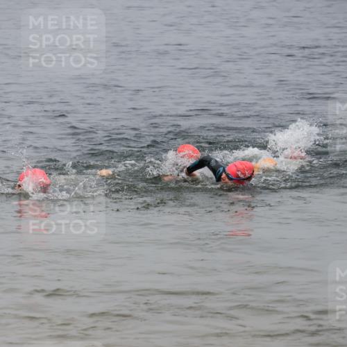 21.06.2025 - 27. Vierlanden-Triathlon Lena Gebhardt http://msf.ph/oto/8039656 15.06.2025 12:35:54 Schwimmen 1081, 1082, 1083, 1084 meine-sportfotos.de