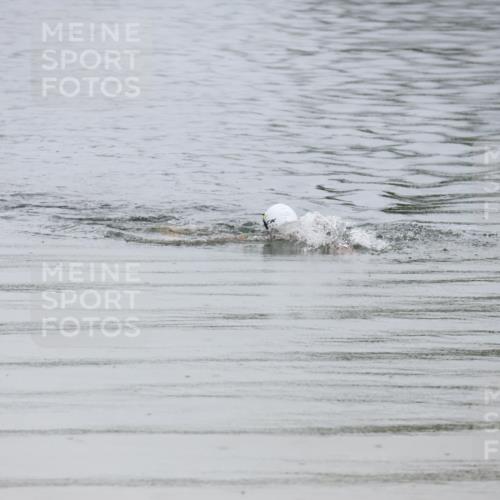 21.06.2025 - 27. Vierlanden-Triathlon Lena Gebhardt http://msf.ph/oto/8045439 15.06.2025 14:50:37 Schwimmen  meine-sportfotos.de