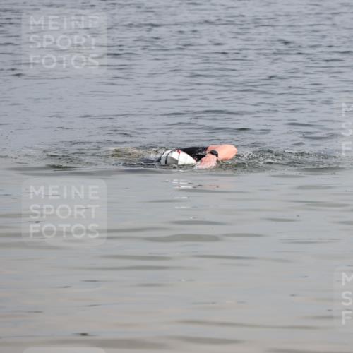 15.06.2025 - 27. Vierlanden-Triathlon Lena Gebhardt http://msf.ph/oto/8049155 15.06.2025 09:22:50 Schwimmen  meine-sportfotos.de