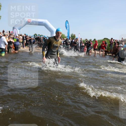 22.06.2025 - Viking Triathlon Michael Strokosch http://msf.ph/oto/8056153 22.06.2025 10:01:58 Schwimmen 3, 17, 80, 91, 125, 158, 271, 278, 299, 304, 355, 435, 449, 551, 618 meine-sportfotos.de
