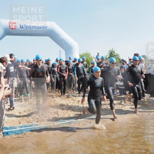 22.06.2025 - Viking Triathlon MichiJ http://msf.ph/oto/8058165 22.06.2025 10:02:01 Schwimmen 3, 17, 80, 91, 127, 137, 278, 299, 304, 365, 415, 435, 449, 492, 551 meine-sportfotos.de