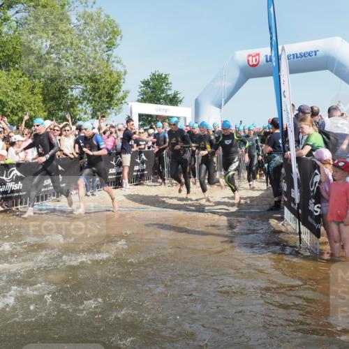 22.06.2025 - Viking Triathlon KatJ http://msf.ph/oto/8059246 22.06.2025 10:00:21 Schwimmen 2, 4, 6, 10, 14, 15, 28, 46, 49, 81, 100, 122, 175, 176, 286, 288, 329, 367, 420, 455, 473, 485, 521, 544, 557, 609, 610, 611, 617 meine-sportfotos.de