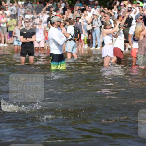 22.06.2025 - Viking Triathlon H.Heesch http://msf.ph/oto/8059559 22.06.2025 10:01:09 Schwimmen 12, 53, 63, 131, 147, 173, 214, 294, 330, 341, 350, 443, 444, 458, 488 meine-sportfotos.de