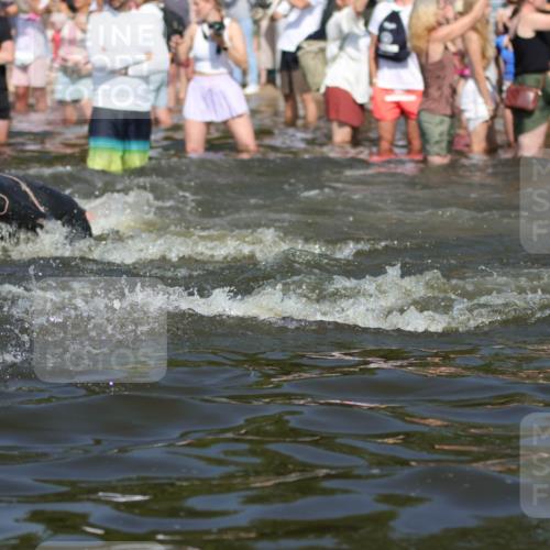 22.06.2025 - Viking Triathlon H.Heesch http://msf.ph/oto/8059621 22.06.2025 10:01:13 Schwimmen 53, 131, 147, 173, 214, 294, 330, 341, 443, 444, 488 meine-sportfotos.de