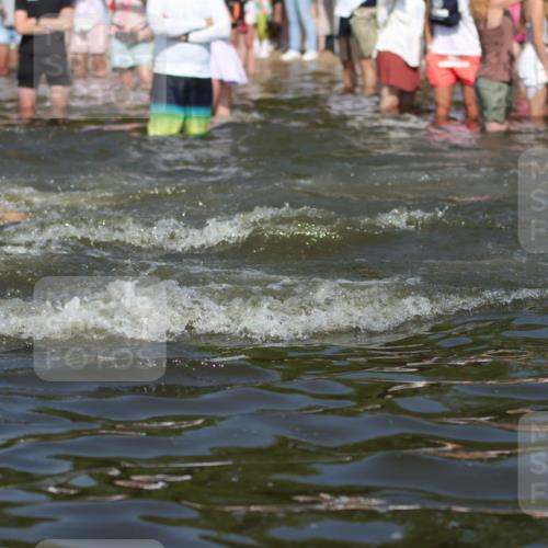 22.06.2025 - Viking Triathlon H.Heesch http://msf.ph/oto/8059639 22.06.2025 10:01:14 Schwimmen 38, 53, 131, 147, 173, 214, 284, 287, 311, 330, 341, 443, 444, 488, 643 meine-sportfotos.de