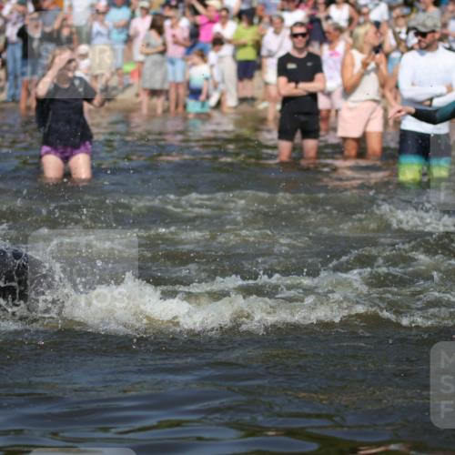22.06.2025 - Viking Triathlon H.Heesch http://msf.ph/oto/8059932 22.06.2025 10:01:38 Schwimmen 19, 99, 162, 226, 237, 272, 320, 344, 399, 438, 461, 507, 510, 604, 626 meine-sportfotos.de