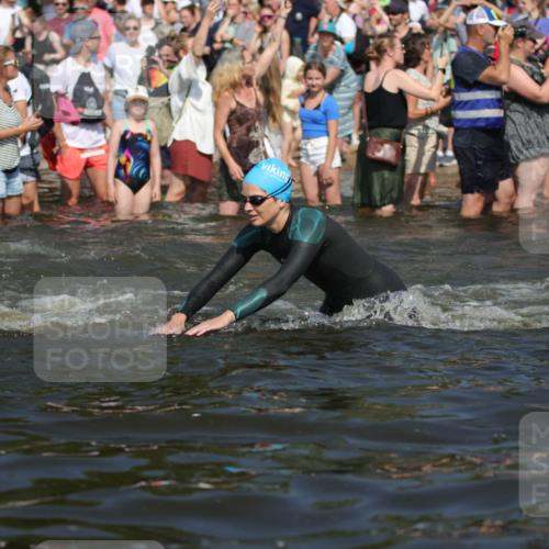 22.06.2025 - Viking Triathlon H.Heesch http://msf.ph/oto/8060179 22.06.2025 10:02:08 Schwimmen 107, 127, 137, 149, 247, 278, 299, 365, 387, 415, 435, 449, 492, 522 meine-sportfotos.de