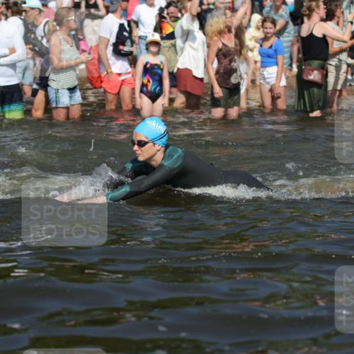 22.06.2025 - Viking Triathlon H.Heesch http://msf.ph/oto/8060184 22.06.2025 10:02:08 Schwimmen 107, 127, 137, 149, 247, 278, 299, 365, 387, 415, 435, 449, 492, 522 meine-sportfotos.de