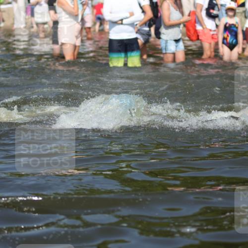 22.06.2025 - Viking Triathlon H.Heesch http://msf.ph/oto/8060198 22.06.2025 10:02:09 Schwimmen 21, 107, 127, 137, 139, 149, 207, 247, 309, 365, 382, 387, 415, 492, 522 meine-sportfotos.de