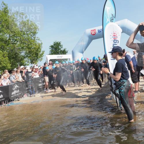 22.06.2025 - Viking Triathlon KatJ http://msf.ph/oto/8061740 22.06.2025 10:01:12 Schwimmen 12, 53, 63, 131, 147, 173, 214, 294, 330, 341, 350, 443, 444, 458, 488 meine-sportfotos.de