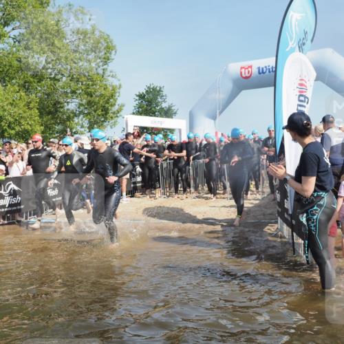 22.06.2025 - Viking Triathlon KatJ http://msf.ph/oto/8061949 22.06.2025 10:01:18 Schwimmen 38, 53, 131, 147, 173, 214, 284, 287, 311, 330, 341, 443, 444, 488, 643 meine-sportfotos.de