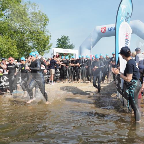 22.06.2025 - Viking Triathlon KatJ http://msf.ph/oto/8061965 22.06.2025 10:01:18 Schwimmen 38, 53, 131, 147, 173, 214, 284, 287, 311, 330, 341, 443, 444, 488, 643 meine-sportfotos.de