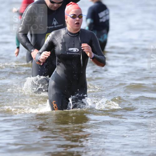 22.06.2025 - Viking Triathlon H.Heesch http://msf.ph/oto/8062205 22.06.2025 10:44:08 Schwimmen 41, 103, 123, 130, 249, 343, 439, 442, 467, 627, 637, 650 meine-sportfotos.de