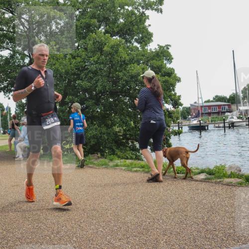 22.06.2025 - Viking Triathlon KatJ http://msf.ph/oto/8123932 22.06.2025 13:38:42 Laufen 288, 527 meine-sportfotos.de