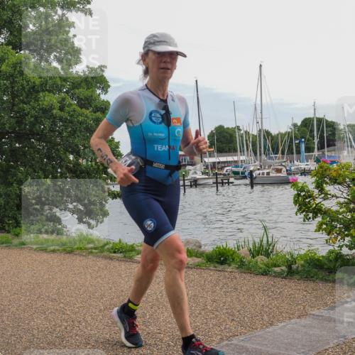 22.06.2025 - Viking Triathlon KatJ http://msf.ph/oto/8125060 22.06.2025 13:42:50 Laufen 154, 291, 654 meine-sportfotos.de