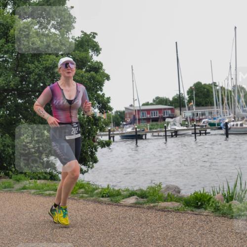 22.06.2025 - Viking Triathlon KatJ http://msf.ph/oto/8125153 22.06.2025 15:27:01 Laufen 202 meine-sportfotos.de