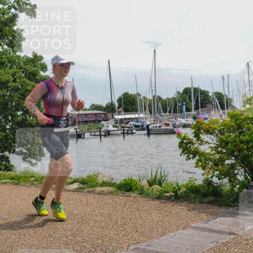 22.06.2025 - Viking Triathlon KatJ http://msf.ph/oto/8128515 22.06.2025 13:52:59 Laufen 131, 202, 312 meine-sportfotos.de