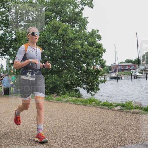 22.06.2025 - Viking Triathlon KatJ http://msf.ph/oto/8136026 22.06.2025 14:32:32 Laufen 43 meine-sportfotos.de