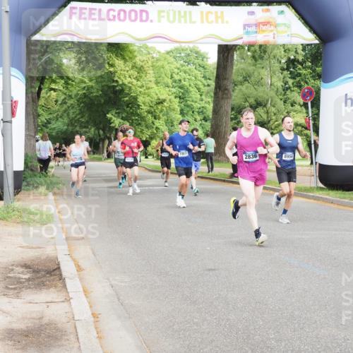 29.06.2025 - hella hamburg halbmarathon MichiJ http://msf.ph/oto/8207218 29.06.2025 10:22:38 Zwischen KM18-KM19 1910, 1959, 2836, 4602, 8956, 16724, 16755 meine-sportfotos.de