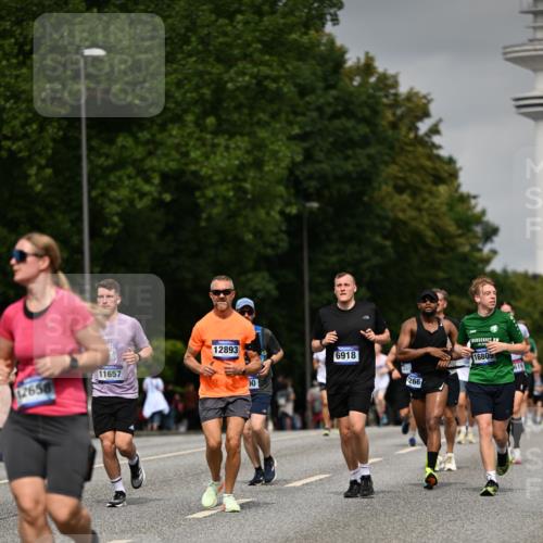 29.06.2025 - hella hamburg halbmarathon Dr. Thomas Lammeyer http://msf.ph/oto/8210777 29.06.2025 10:12:31 Kennedybrücke 1188, 1527, 2190, 2309, 4864, 5100, 5347, 6590, 6918, 7348, 7453, 9071, 9457, 9616, 9966 meine-sportfotos.de
