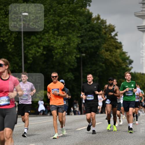 29.06.2025 - hella hamburg halbmarathon Dr. Thomas Lammeyer http://msf.ph/oto/8210806 29.06.2025 10:12:32 Kennedybrücke 1188, 1527, 2190, 2309, 4864, 5100, 5347, 6590, 6918, 7348, 7453, 9071, 9457, 9616, 9966 meine-sportfotos.de