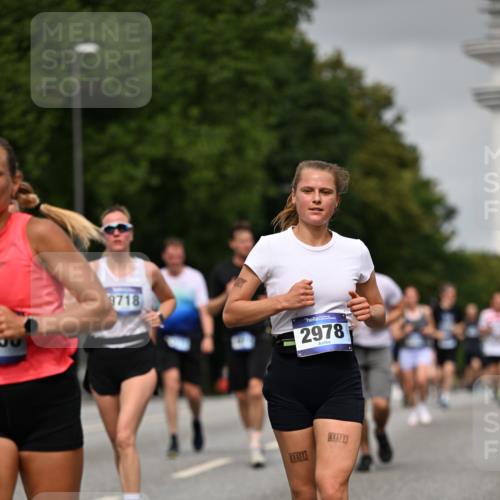 29.06.2025 - hella hamburg halbmarathon Dr. Thomas Lammeyer http://msf.ph/oto/8217069 29.06.2025 10:12:51 Kennedybrücke 1147, 1188, 2427, 2978, 3762, 4859, 5100, 5885, 6590, 6674, 6918, 7198, 7348, 7453, 9457, 9616, 9718, 9823, 9951, 9958, 9966, 10092, 10609, 10857 meine-sportfotos.de