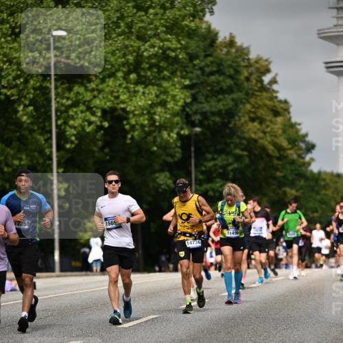 29.06.2025 - hella hamburg halbmarathon Dr. Thomas Lammeyer http://msf.ph/oto/8235684 29.06.2025 10:13:41 Kennedybrücke 1838, 3921, 5511, 7187, 7333, 7636, 8219, 9366, 9434, 9674, 9781, 10036, 10819, 10943, 11067 meine-sportfotos.de