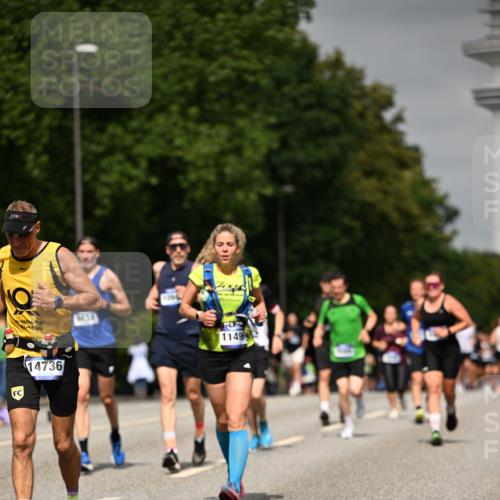 29.06.2025 - hella hamburg halbmarathon Dr. Thomas Lammeyer http://msf.ph/oto/8236545 29.06.2025 10:13:45 Kennedybrücke 1838, 3921, 5511, 7042, 7187, 7333, 7636, 8219, 9366, 9434, 9674, 9781, 10036, 10819, 10943, 11067 meine-sportfotos.de