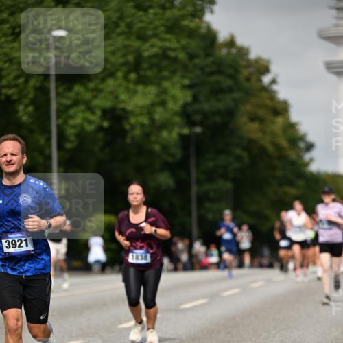 29.06.2025 - hella hamburg halbmarathon Dr. Thomas Lammeyer http://msf.ph/oto/8238737 29.06.2025 10:13:53 Kennedybrücke 1483, 1573, 1838, 3921, 5511, 7042, 7333, 7636, 7685, 8090, 8219, 8890, 9366, 9434, 9674, 9781, 9816, 10036, 10943, 11027, 11180 meine-sportfotos.de