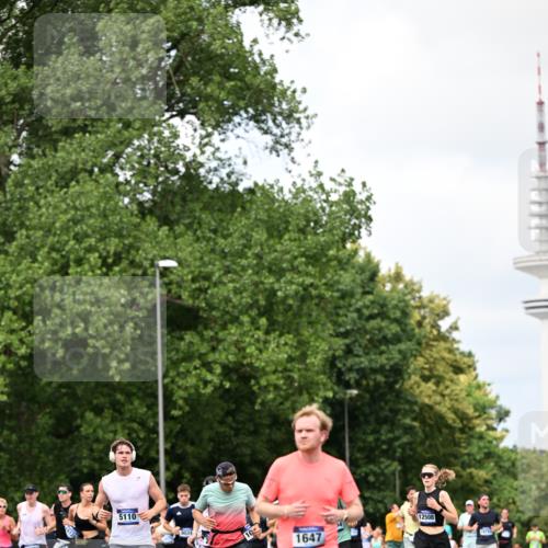 29.06.2025 - hella hamburg halbmarathon Dr. Thomas Lammeyer http://msf.ph/oto/8282493 29.06.2025 10:36:56 Kennedybrücke 1237, 1647, 1732, 2059, 2268, 2384, 2959, 3221, 3391, 3653, 3660, 3670, 3708, 3753, 4096, 4555, 5110, 5156, 5581, 5871, 6642, 6861, 7135, 7387, 7531, 7749, 7750, 7789, 8170, 8839, 8840, 8914, 9010, 9034, 9188, 9471, 9542, 9765, 9812, 10002, 10203, 10470, 10624, 10770, 11076 meine-sportfotos.de