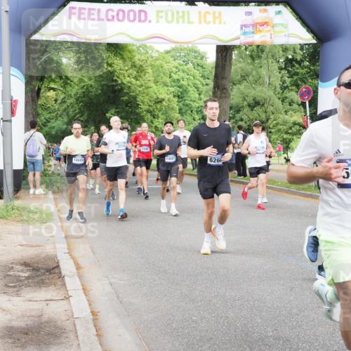 29.06.2025 - hella hamburg halbmarathon MichiJ http://msf.ph/oto/8286597 29.06.2025 10:33:09 Zwischen KM18-KM19 1171, 2890, 2970, 3056, 3917, 4915, 5623, 5884, 6266, 7325, 8928, 10596, 14464, 14686, 14687, 16506, 16689, 18055, 18631 meine-sportfotos.de
