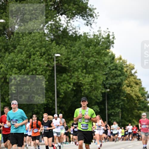 29.06.2025 - hella hamburg halbmarathon Dr. Thomas Lammeyer http://msf.ph/oto/8289935 29.06.2025 10:37:18 Kennedybrücke 1078, 1199, 1324, 1373, 1732, 1879, 2059, 2085, 2384, 2838, 3221, 3341, 3422, 3560, 3653, 3871, 4030, 4096, 4164, 4446, 4555, 5156, 5581, 5917, 6773, 6861, 7705, 7750, 8175, 8595, 8839, 8993, 9034, 9289, 9471, 9750, 9768, 9780, 10770 meine-sportfotos.de