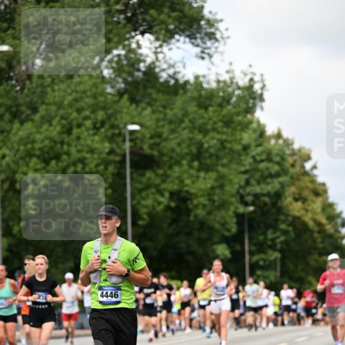 29.06.2025 - hella hamburg halbmarathon Dr. Thomas Lammeyer http://msf.ph/oto/8290244 29.06.2025 10:37:20 Kennedybrücke 1078, 1199, 1324, 1373, 1732, 1879, 1995, 2059, 2085, 2384, 2838, 3221, 3341, 3422, 3560, 3653, 3871, 4030, 4096, 4164, 4446, 4555, 5156, 5180, 5581, 5917, 6773, 6861, 7705, 8175, 8595, 8839, 8993, 9289, 9471, 9750, 9768, 9780, 10770 meine-sportfotos.de