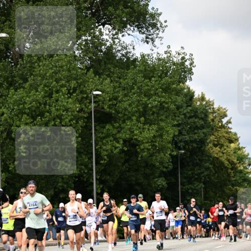 29.06.2025 - hella hamburg halbmarathon Dr. Thomas Lammeyer http://msf.ph/oto/8293854 29.06.2025 10:37:30 Kennedybrücke 1078, 1199, 1324, 1373, 1995, 2085, 2342, 2838, 3341, 3560, 3812, 3871, 4164, 4446, 5180, 5917, 6773, 6999, 7308, 7309, 7705, 8175, 8595, 8891, 8993, 9234, 9289, 9591, 9750, 9780, 11092 meine-sportfotos.de