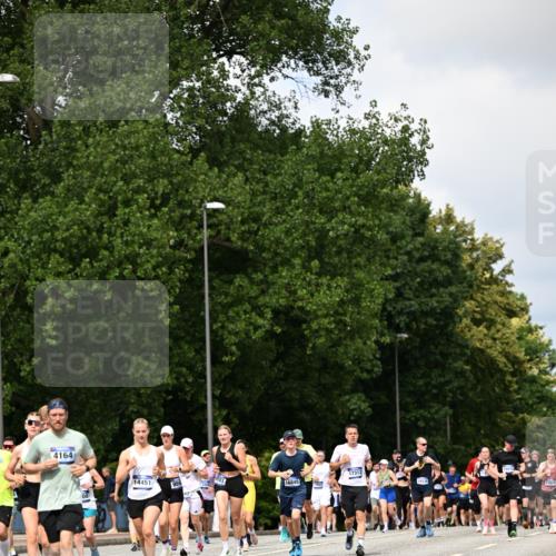 29.06.2025 - hella hamburg halbmarathon Dr. Thomas Lammeyer http://msf.ph/oto/8293872 29.06.2025 10:37:31 Kennedybrücke 1078, 1199, 1324, 1373, 1995, 2085, 2342, 2838, 3341, 3560, 3812, 3871, 4164, 4446, 5180, 5917, 6773, 6999, 7308, 7309, 7705, 8175, 8891, 8993, 9234, 9591, 9750, 9780, 11092 meine-sportfotos.de