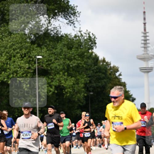 29.06.2025 - hella hamburg halbmarathon Dr. Thomas Lammeyer http://msf.ph/oto/8299019 29.06.2025 10:37:49 Kennedybrücke 1189, 1275, 1896, 1995, 2342, 2526, 2776, 3264, 3340, 3345, 3812, 3848, 4361, 4433, 4449, 4807, 5075, 5141, 5180, 5557, 5561, 5584, 5821, 5822, 5887, 6515, 6516, 6956, 6999, 7027, 7308, 7309, 7633, 7653, 7982, 8157, 8349, 8375, 8377, 8383, 8401, 8620, 8891, 9234, 9258, 9438, 9591, 9706, 9799, 9995, 10800, 11092, 11111, 11237, 11260 meine-sportfotos.de