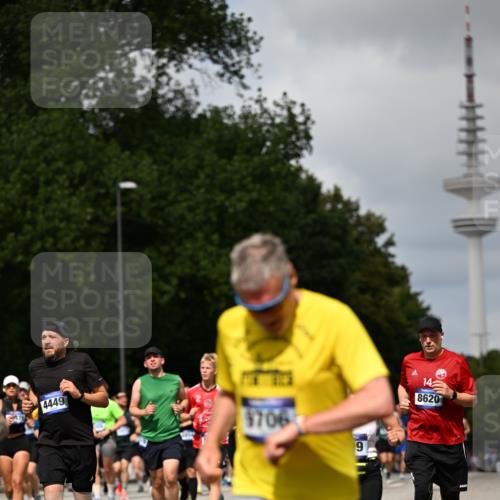 29.06.2025 - hella hamburg halbmarathon Dr. Thomas Lammeyer http://msf.ph/oto/8299635 29.06.2025 10:37:51 Kennedybrücke 1189, 1275, 1896, 2342, 2526, 2776, 3264, 3340, 3345, 3812, 3848, 4361, 4433, 4449, 4807, 5075, 5141, 5557, 5561, 5584, 5821, 5822, 5887, 6364, 6515, 6516, 6956, 6999, 7027, 7308, 7309, 7633, 7653, 7982, 8157, 8349, 8375, 8377, 8383, 8401, 8620, 8891, 9234, 9258, 9438, 9591, 9706, 9799, 9995, 10048, 10800, 11092, 11111, 11229, 11237, 11260 meine-sportfotos.de