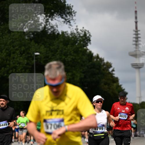 29.06.2025 - hella hamburg halbmarathon Dr. Thomas Lammeyer http://msf.ph/oto/8299728 29.06.2025 10:37:51 Kennedybrücke 1189, 1275, 1896, 2342, 2526, 2776, 3264, 3340, 3345, 3812, 3848, 4361, 4433, 4449, 4807, 5075, 5141, 5557, 5561, 5584, 5821, 5822, 5887, 6364, 6515, 6516, 6956, 6999, 7027, 7308, 7309, 7633, 7653, 7982, 8157, 8349, 8375, 8377, 8383, 8401, 8620, 8891, 9234, 9258, 9438, 9591, 9706, 9799, 9995, 10048, 10800, 11092, 11111, 11229, 11237, 11260 meine-sportfotos.de