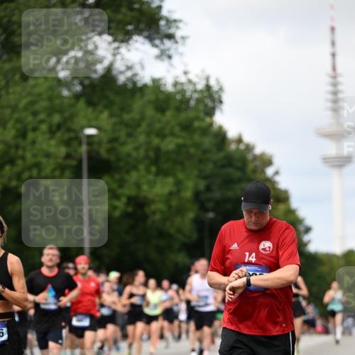 29.06.2025 - hella hamburg halbmarathon Dr. Thomas Lammeyer http://msf.ph/oto/8300456 29.06.2025 10:37:55 Kennedybrücke 1189, 1275, 1896, 2526, 2776, 3264, 3340, 3345, 3812, 3848, 4361, 4433, 4449, 4807, 4824, 4826, 5075, 5141, 5557, 5561, 5584, 5821, 5822, 5887, 6364, 6515, 6516, 6956, 7027, 7308, 7309, 7565, 7633, 7653, 7982, 8157, 8349, 8375, 8377, 8383, 8401, 8620, 9234, 9258, 9438, 9706, 9799, 9875, 9995, 10048, 10800, 11092, 11111, 11229, 11237, 11260 meine-sportfotos.de