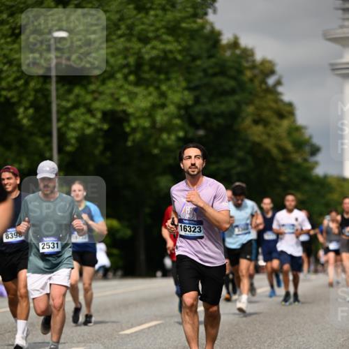 29.06.2025 - hella hamburg halbmarathon Dr. Thomas Lammeyer http://msf.ph/oto/8306854 29.06.2025 10:16:48 Kennedybrücke 1020, 1051, 2531, 2942, 3360, 3363, 4187, 4532, 6489, 7014, 7873, 8398, 8405, 9705, 10067, 10409, 11025 meine-sportfotos.de